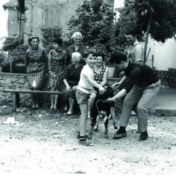 Archive familiale d'Olivier Laquerbe, éleveur à Almont les Junies – 1974